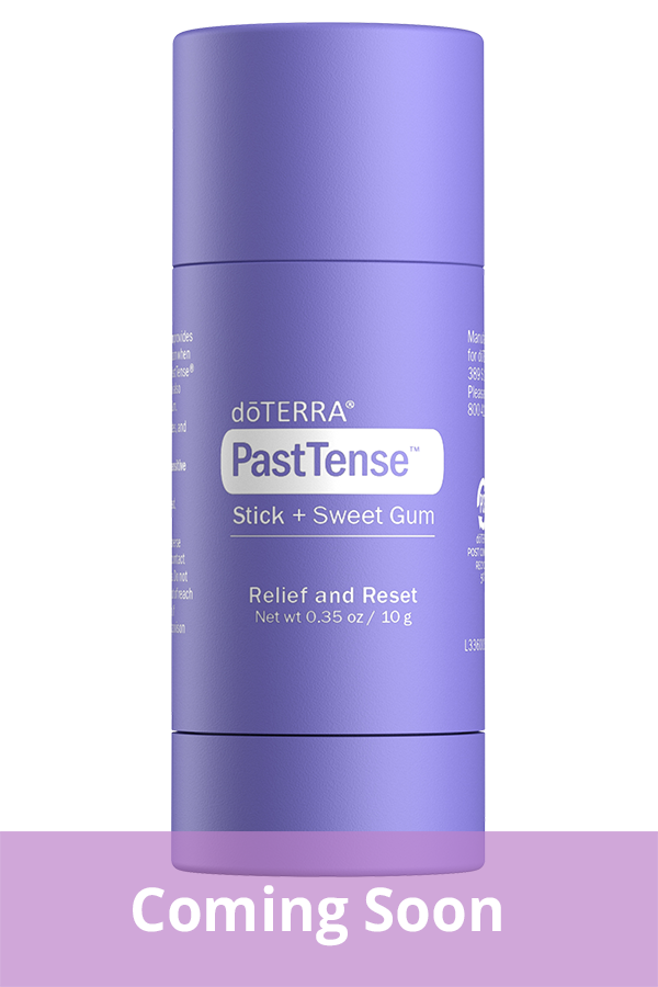 Past Tense stick - precomanda-